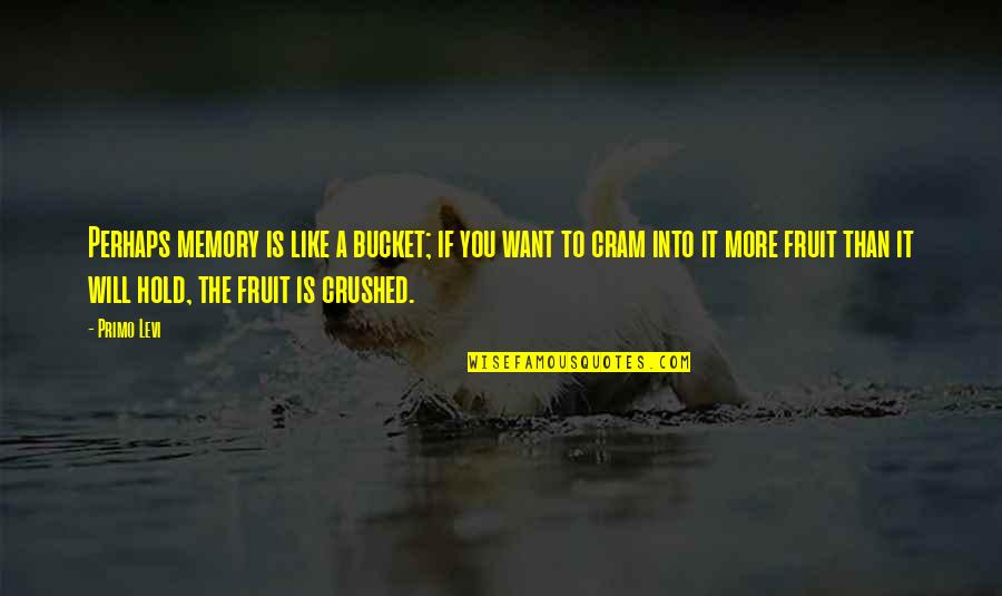 Mariels Sorrow Quotes By Primo Levi: Perhaps memory is like a bucket; if you Mariels Sorrow Quotes By Primo Levi: Perhaps memory is like a bucket; if you