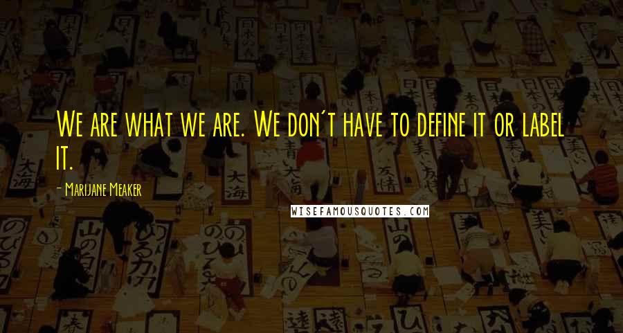 Marijane Meaker quotes: We are what we are. We don't have to define it or label it.