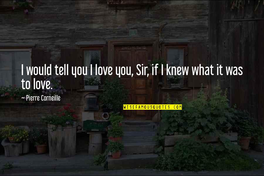 Marijtje Rutgers Quotes By Pierre Corneille: I would tell you I love you, Sir, Marijtje Rutgers Quotes By Pierre Corneille: I would tell you I love you, Sir,