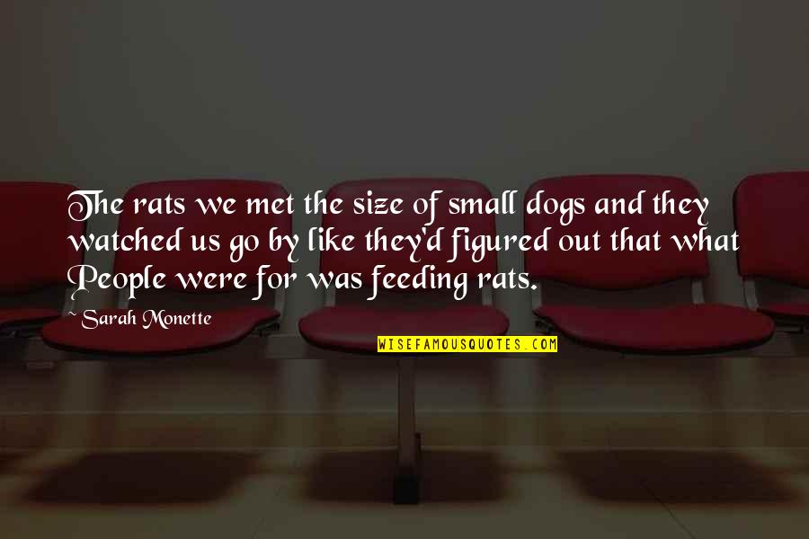 Marijuanas Store Quotes By Sarah Monette: The rats we met the size of small Marijuanas Store Quotes By Sarah Monette: The rats we met the size of small