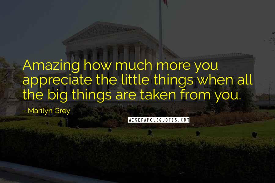Marilyn Grey quotes: Amazing how much more you appreciate the little things when all the big things are taken from you.