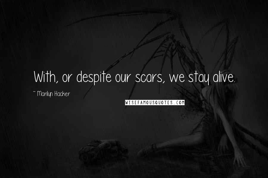 Marilyn Hacker quotes: With, or despite our scars, we stay alive.