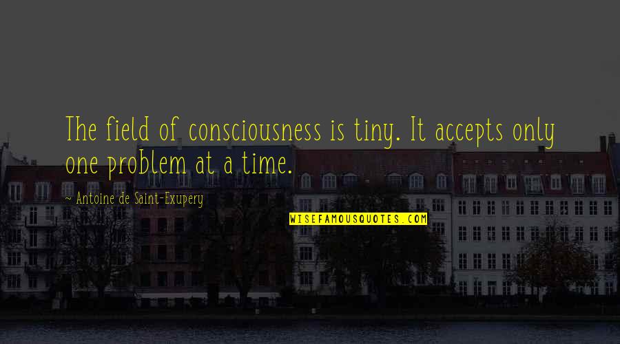 Marilyn Schlitz Quotes By Antoine De Saint-Exupery: The field of consciousness is tiny. It accepts