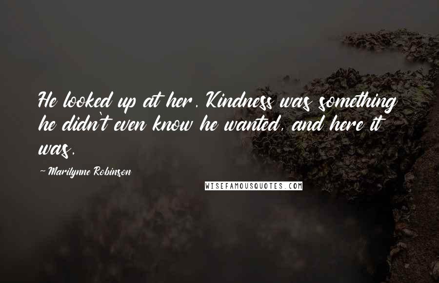 Marilynne Robinson quotes: He looked up at her. Kindness was something he didn't even know he wanted, and here it was.