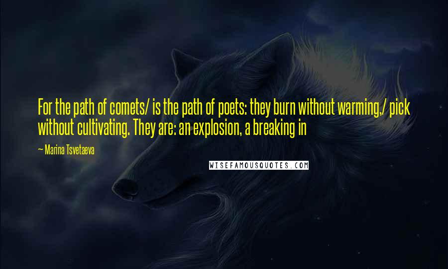 Marina Tsvetaeva quotes: For the path of comets/ is the path of poets: they burn without warming,/ pick without cultivating. They are: an explosion, a breaking in Marina Tsvetaeva quotes: For the path of comets/ is the path of poets: they burn without warming,/ pick without cultivating. They are: an explosion, a breaking in