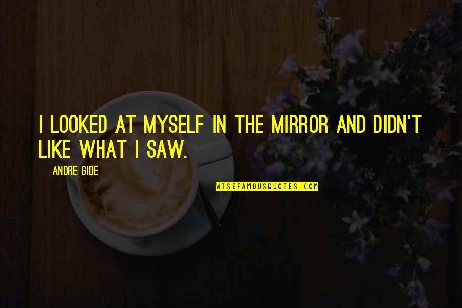 Marincad Quotes By Andre Gide: I looked at myself in the mirror and