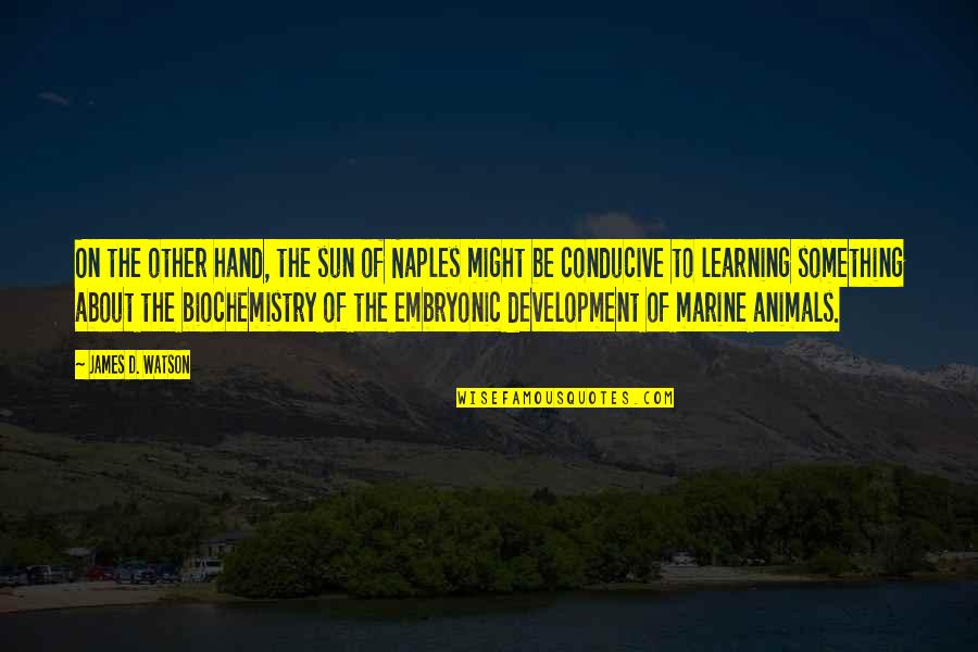 Marine Animals Quotes By James D. Watson: On the other hand, the sun of Naples