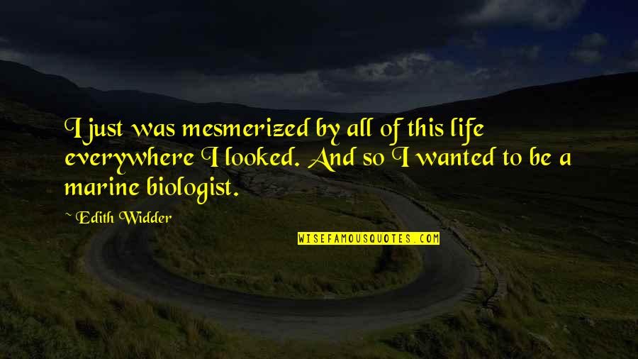 Marine Biologist Quotes By Edith Widder: I just was mesmerized by all of this