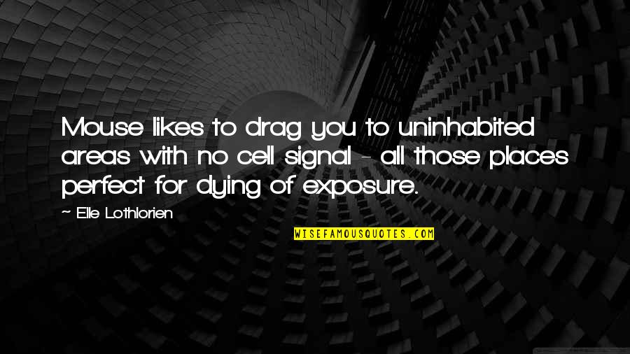 Marino El Ciego Quotes By Elle Lothlorien: Mouse likes to drag you to uninhabited areas