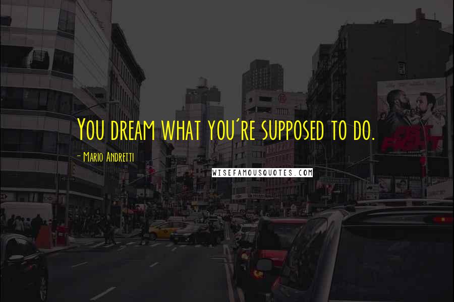 Mario Andretti quotes: You dream what you're supposed to do.