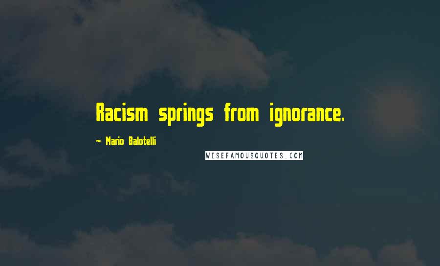 Mario Balotelli quotes: Racism springs from ignorance.