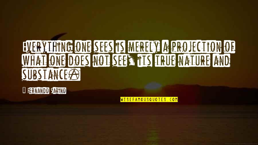 Mario Bunge Quotes By Fernando Sabino: Everything one sees is merely a projection of