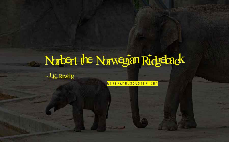 Mario De Andrade Quotes By J.K. Rowling: Norbert the Norwegian Ridgeback