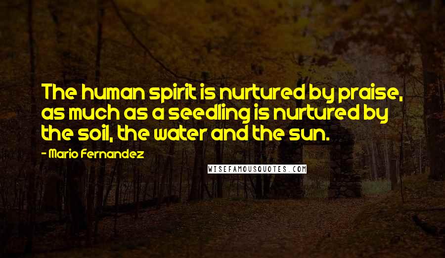 Mario Fernandez quotes: The human spirit is nurtured by praise, as much as a seedling is nurtured by the soil, the water and the sun.