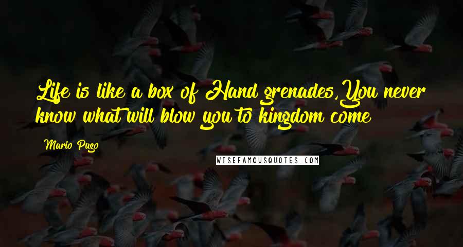 Mario Puzo quotes: Life is like a box of Hand grenades,You never know what will blow you to kingdom come