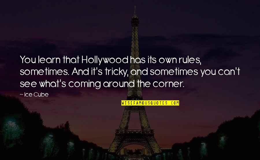 Mario Rosenstock Quotes By Ice Cube: You learn that Hollywood has its own rules,