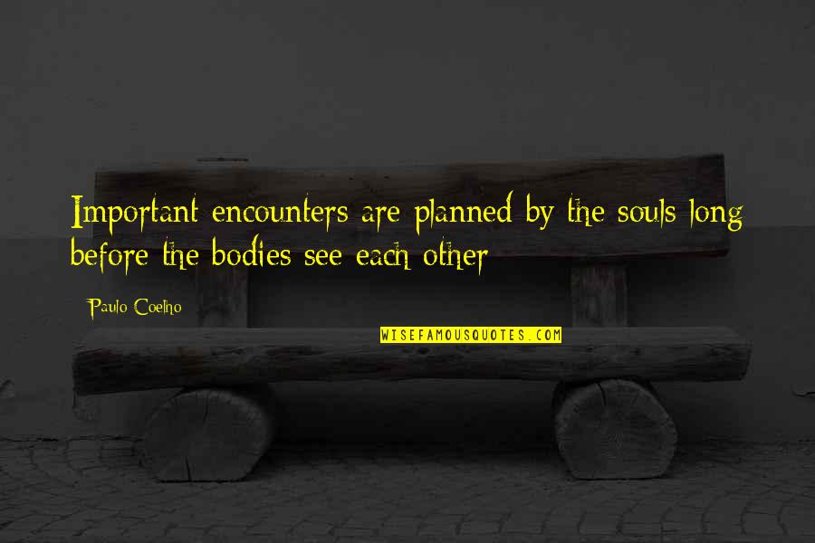 Mario Schifano Quotes By Paulo Coelho: Important encounters are planned by the souls long