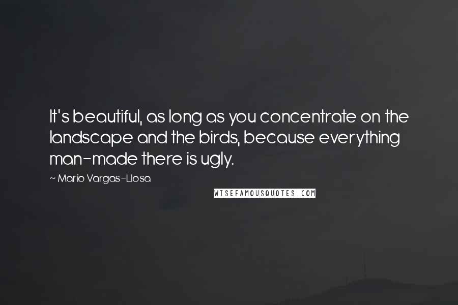 Mario Vargas-Llosa quotes: It's beautiful, as long as you concentrate on the landscape and the birds, because everything man-made there is ugly.