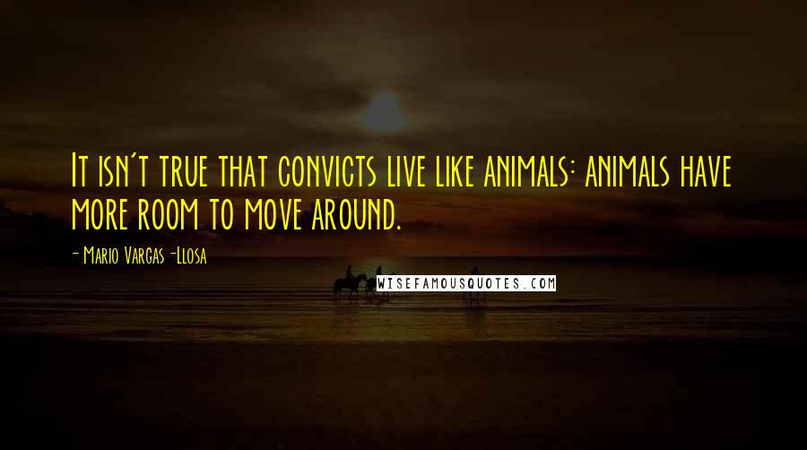 Mario Vargas-Llosa quotes: It isn't true that convicts live like animals: animals have more room to move around.