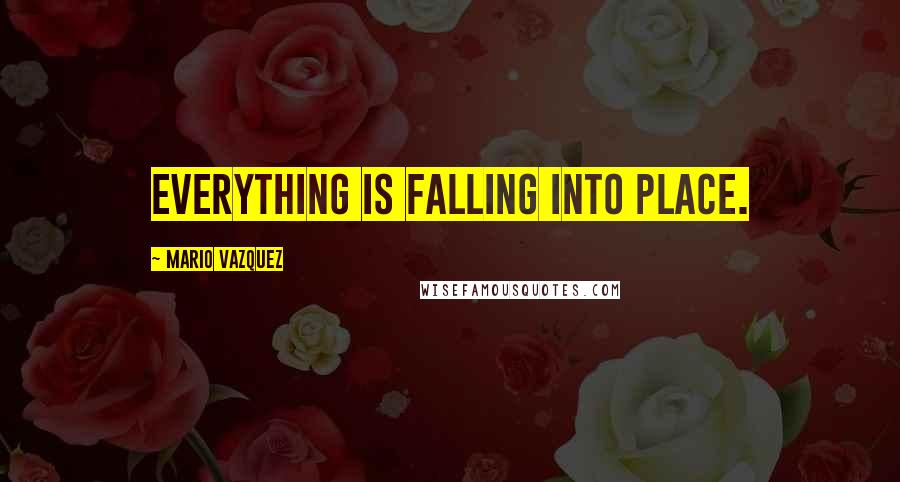 Mario Vazquez quotes: Everything is falling into place.