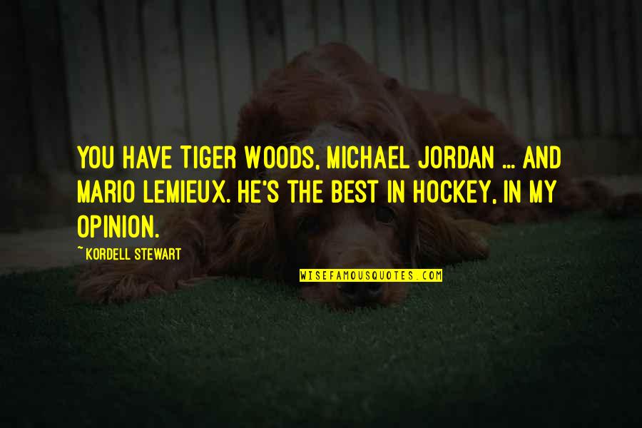 Mario's Quotes By Kordell Stewart: You have Tiger Woods, Michael Jordan ... and