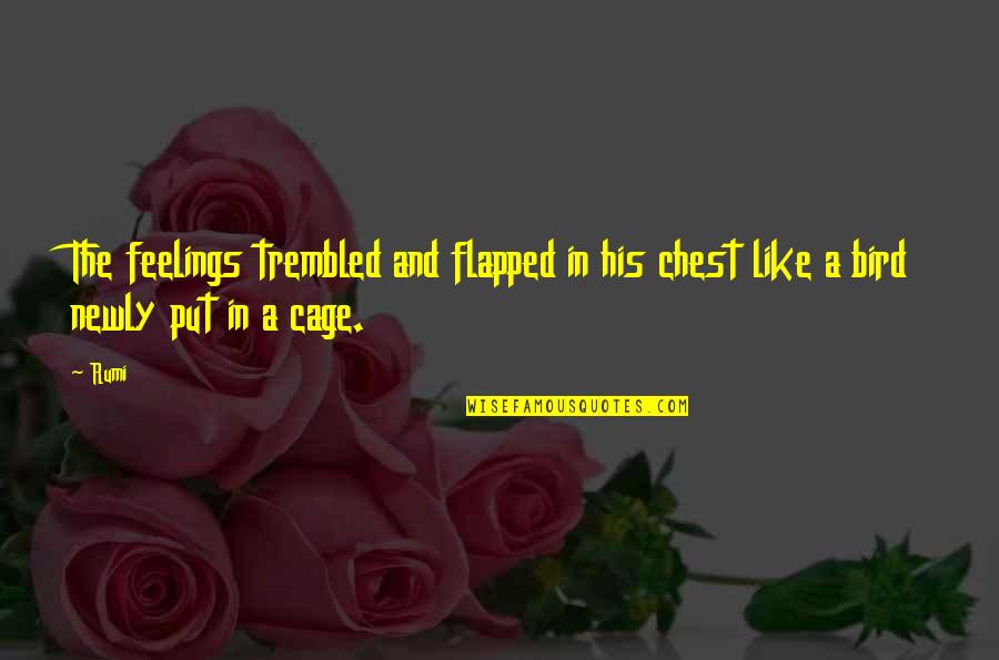 Mariottis Laundry Quotes By Rumi: The feelings trembled and flapped in his chest