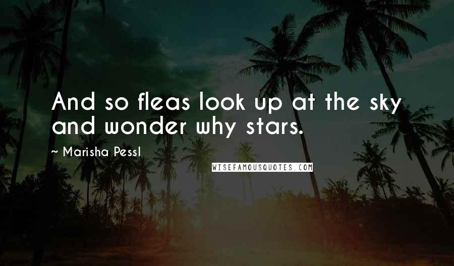 Marisha Pessl quotes: And so fleas look up at the sky and wonder why stars.