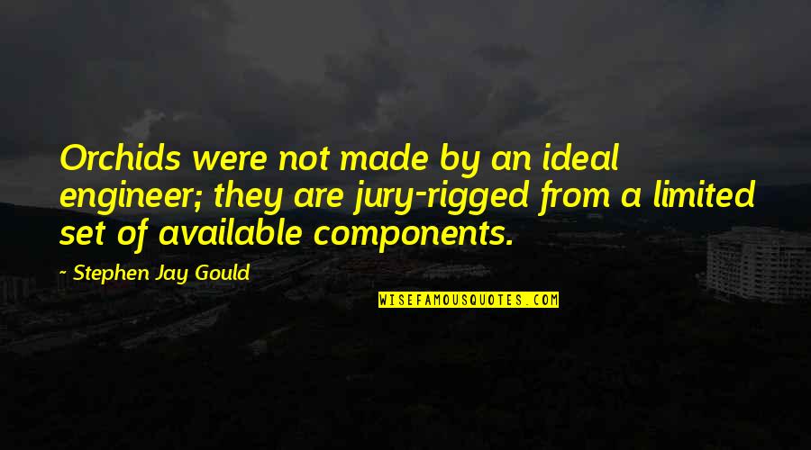 Marital Affair Quotes By Stephen Jay Gould: Orchids were not made by an ideal engineer;