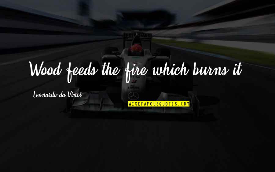 Maritimo Yachts Quotes By Leonardo Da Vinci: Wood feeds the fire which burns it.