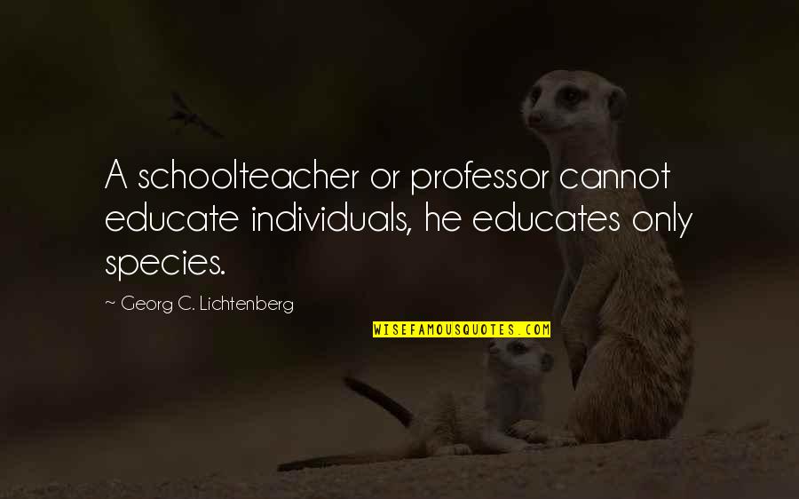 Marjolin Ulcers Quotes By Georg C. Lichtenberg: A schoolteacher or professor cannot educate individuals, he Marjolin Ulcers Quotes By Georg C. Lichtenberg: A schoolteacher or professor cannot educate individuals, he
