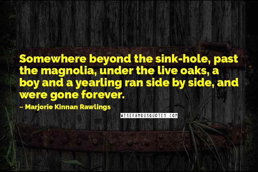 Marjorie Kinnan Rawlings quotes: Somewhere beyond the sink-hole, past the magnolia, under the live oaks, a boy and a yearling ran side by side, and were gone forever.