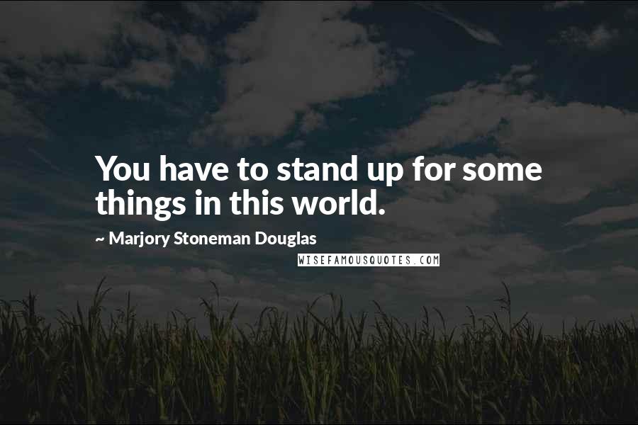Marjory Stoneman Douglas quotes: You have to stand up for some things in this world.