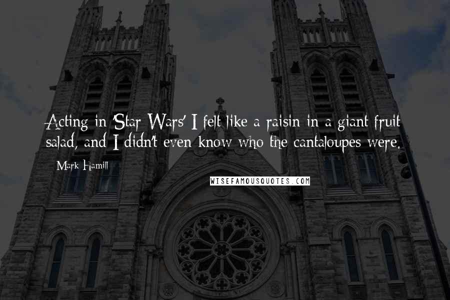 Mark Hamill quotes: Acting in 'Star Wars' I felt like a raisin in a giant fruit salad, and I didn't even know who the cantaloupes were.