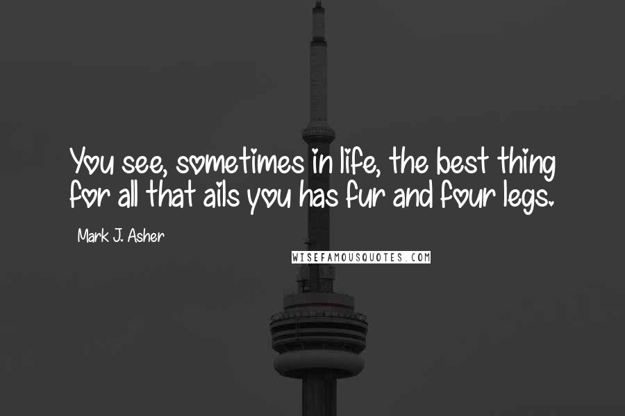 Mark J. Asher quotes: You see, sometimes in life, the best thing for all that ails you has fur and four legs.