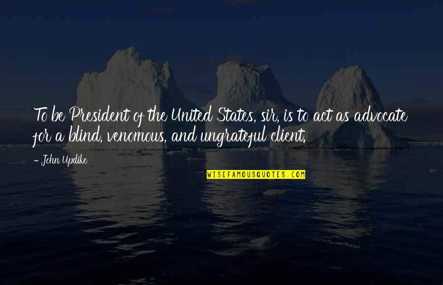 Mark Lewis Tax Grievance Quotes By John Updike: To be President of the United States, sir,