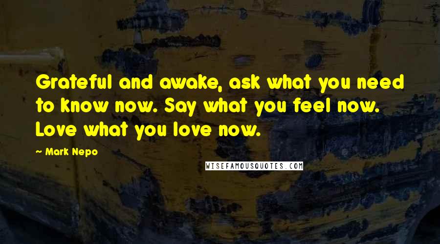 Mark Nepo quotes: Grateful and awake, ask what you need to know now. Say what you feel now. Love what you love now.