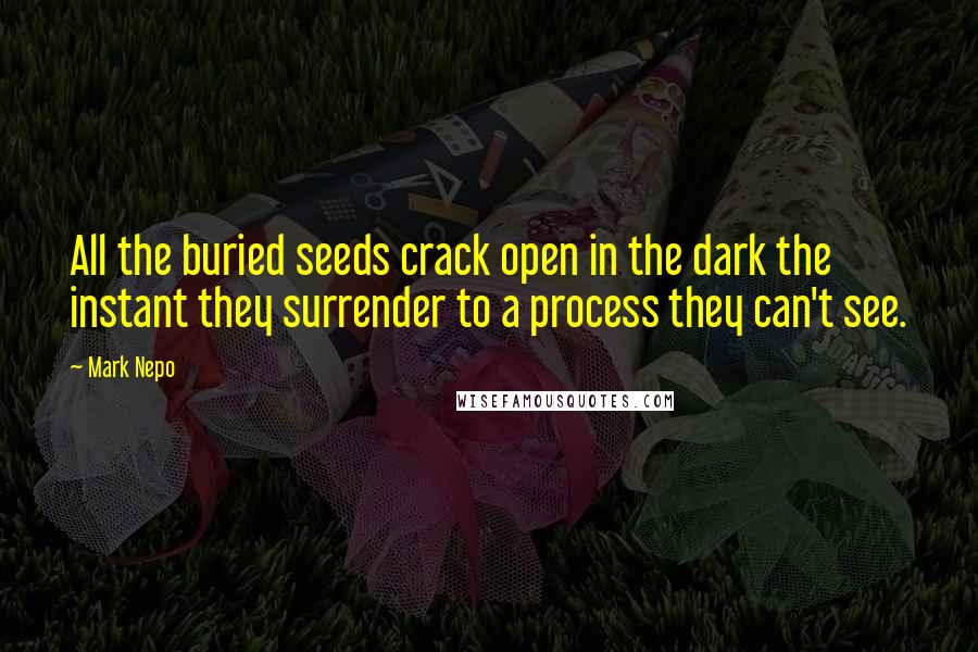 Mark Nepo quotes: All the buried seeds crack open in the dark the instant they surrender to a process they can't see.