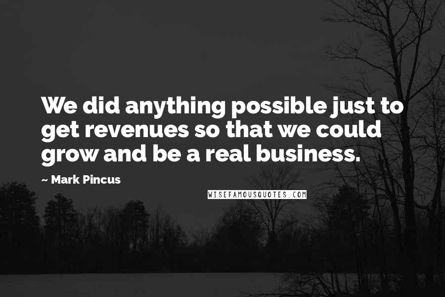 Mark Pincus quotes: We did anything possible just to get revenues so that we could grow and be a real business.
