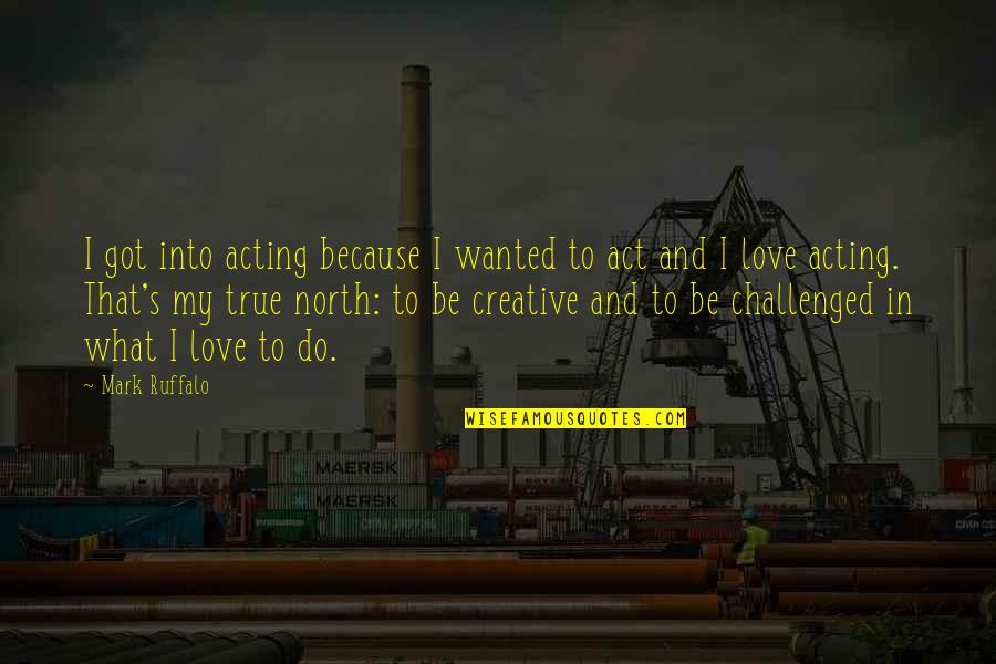 Mark Ruffalo Quotes By Mark Ruffalo: I got into acting because I wanted to Mark Ruffalo Quotes By Mark Ruffalo: I got into acting because I wanted to