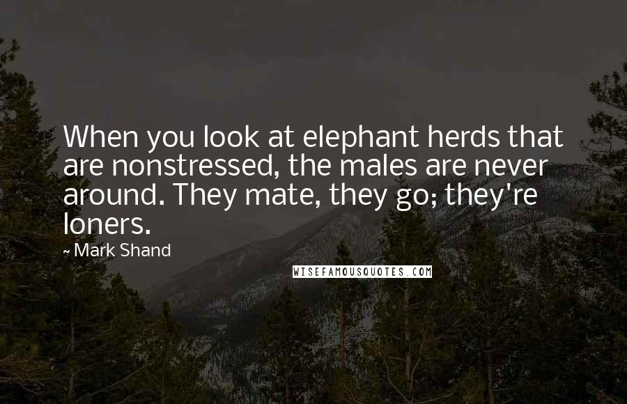 Mark Shand quotes: When you look at elephant herds that are nonstressed, the males are never around. They mate, they go; they're loners.