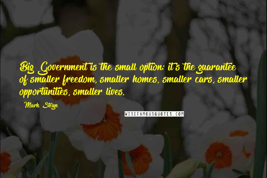 Mark Steyn quotes: Big Government is the small option: it's the guarantee of smaller freedom, smaller homes, smaller cars, smaller opportunities, smaller lives.