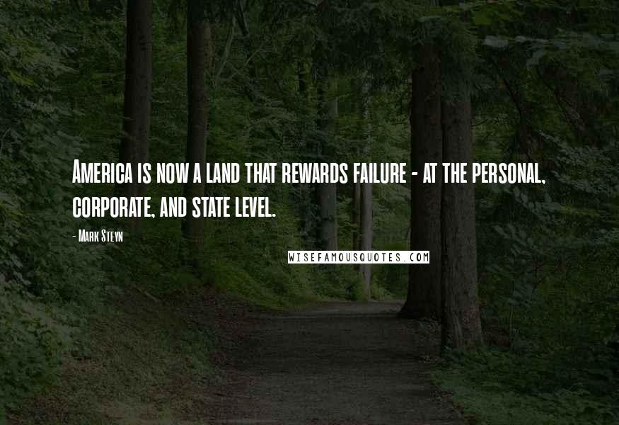 Mark Steyn quotes: America is now a land that rewards failure - at the personal, corporate, and state level.