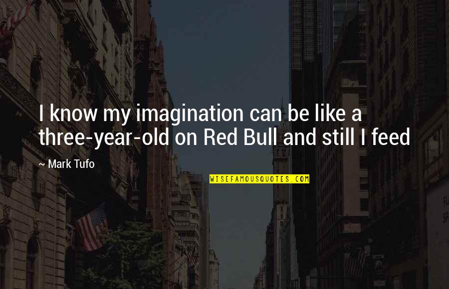 Mark Tufo Quotes By Mark Tufo: I know my imagination can be like a