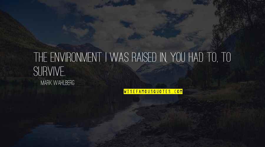 Mark Wahlberg Quotes By Mark Wahlberg: The environment I was raised in, you had