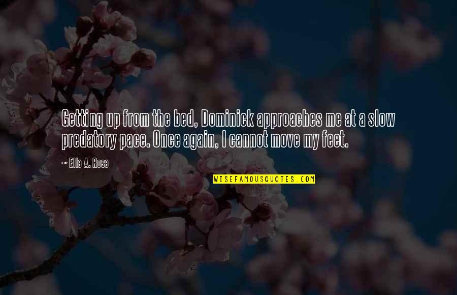 Marka Ragnos Quotes By Elle A. Rose: Getting up from the bed, Dominick approaches me