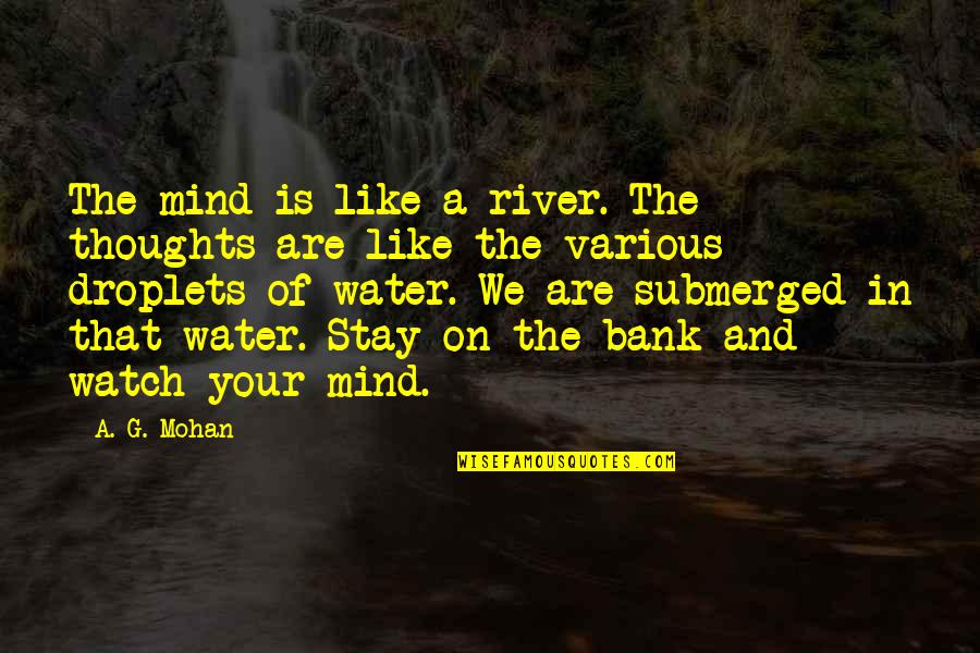 Markees Johnson Quotes By A. G. Mohan: The mind is like a river. The thoughts