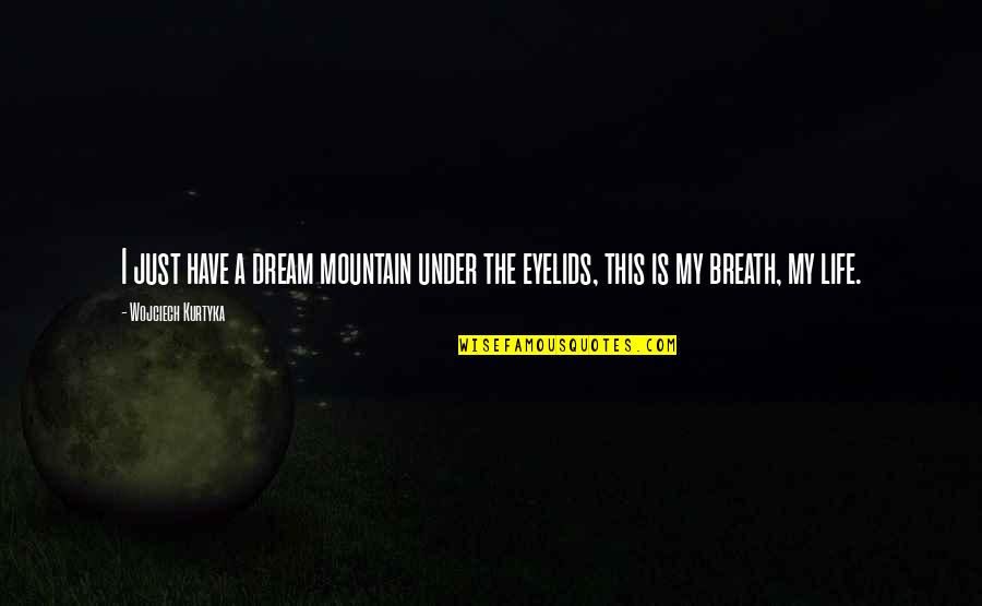 Markenson Wi Quotes By Wojciech Kurtyka: I just have a dream mountain under the Markenson Wi Quotes By Wojciech Kurtyka: I just have a dream mountain under the