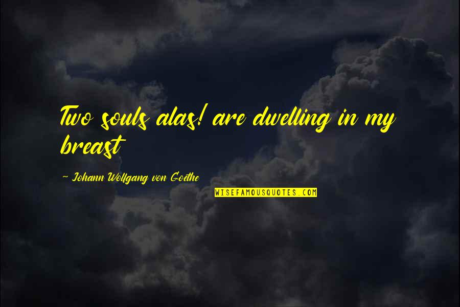Markess International Quotes By Johann Wolfgang Von Goethe: Two souls alas! are dwelling in my breast