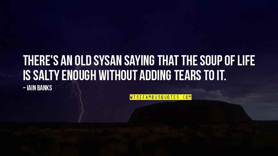 Market Decline Quotes By Iain Banks: There's an old Sysan saying that the soup