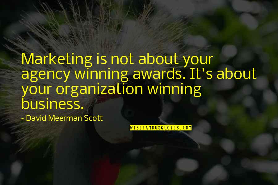 Marketing Agency Quotes By David Meerman Scott: Marketing is not about your agency winning awards.